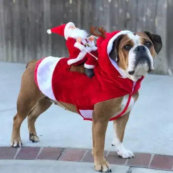 Adorable Christmas Dog Costume – Santa Riding Deer Outfit for All Dog Sizes