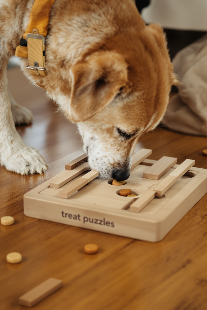 Dog at home nosing a square wooden treat puzzle board on the floor: the board has a grid of small sliding wooden panels - dog puzzle toys