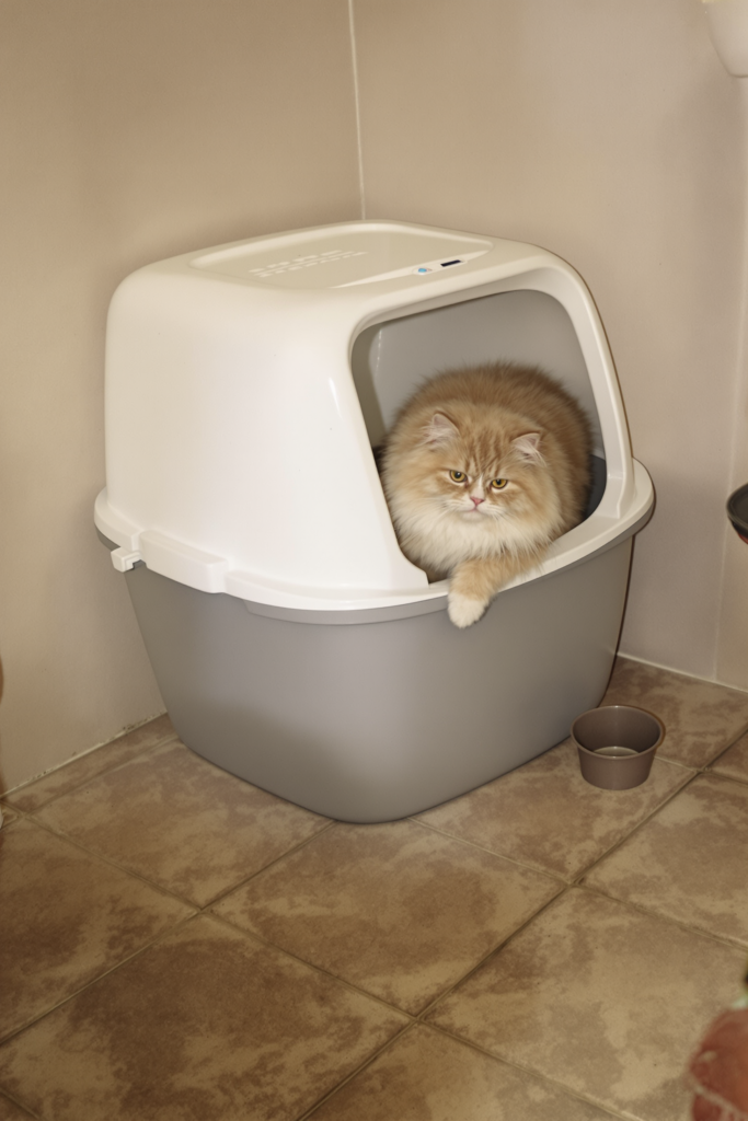Large cat stepping out of a big high-sided litter box on a bathroom floor